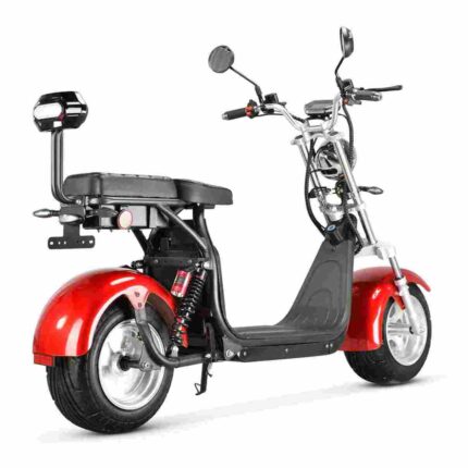 Rooder citycoco Scooter factory OEM China Wholesale