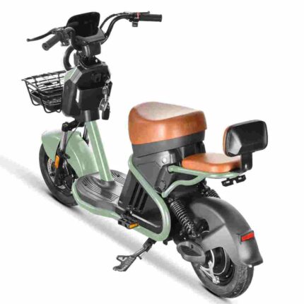 Tricycle Citycoco factory OEM China Wholesale