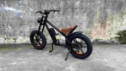 best fat tire ebike 2024 factory OEM China Wholesale