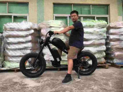 cheap ebikes factory OEM China Wholesale