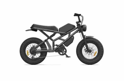 electric bike with sidecar factory OEM China Wholesale