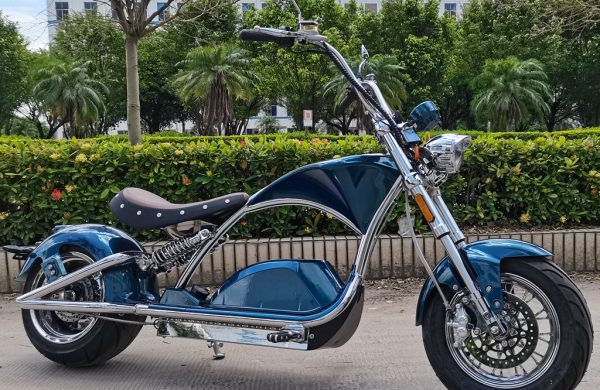 Rooder-mangosteen-m1ps-electric-motorcycle-4000w-80kmph-5