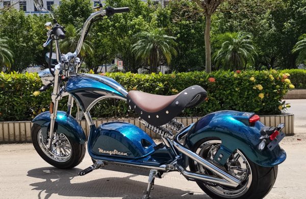 Rooder-mangosteen-m1ps-electric-motorcycle-4000w-80kmph-6