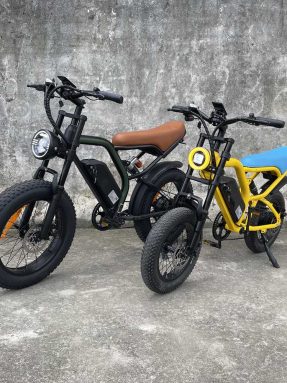 cb02-Rooder-fat-tire-ebike-for-adults-wholesale-price-7